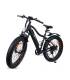 Bicicleta eléctrica de Montaña EcoXtrem e-BIke MTB Fat XL con precio rebajado
